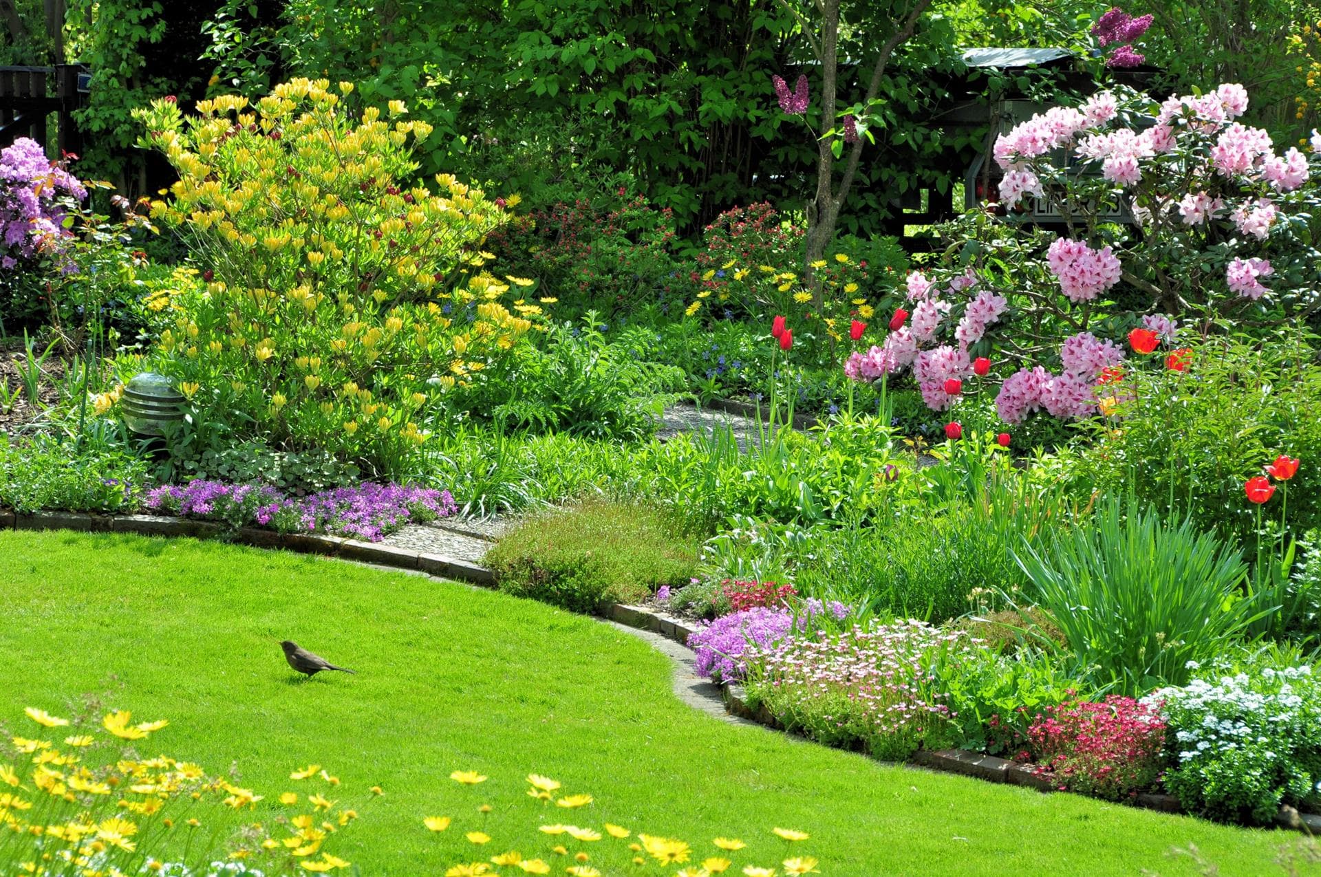 Preparados para ofrecerte todo lo que necesites en jardinería