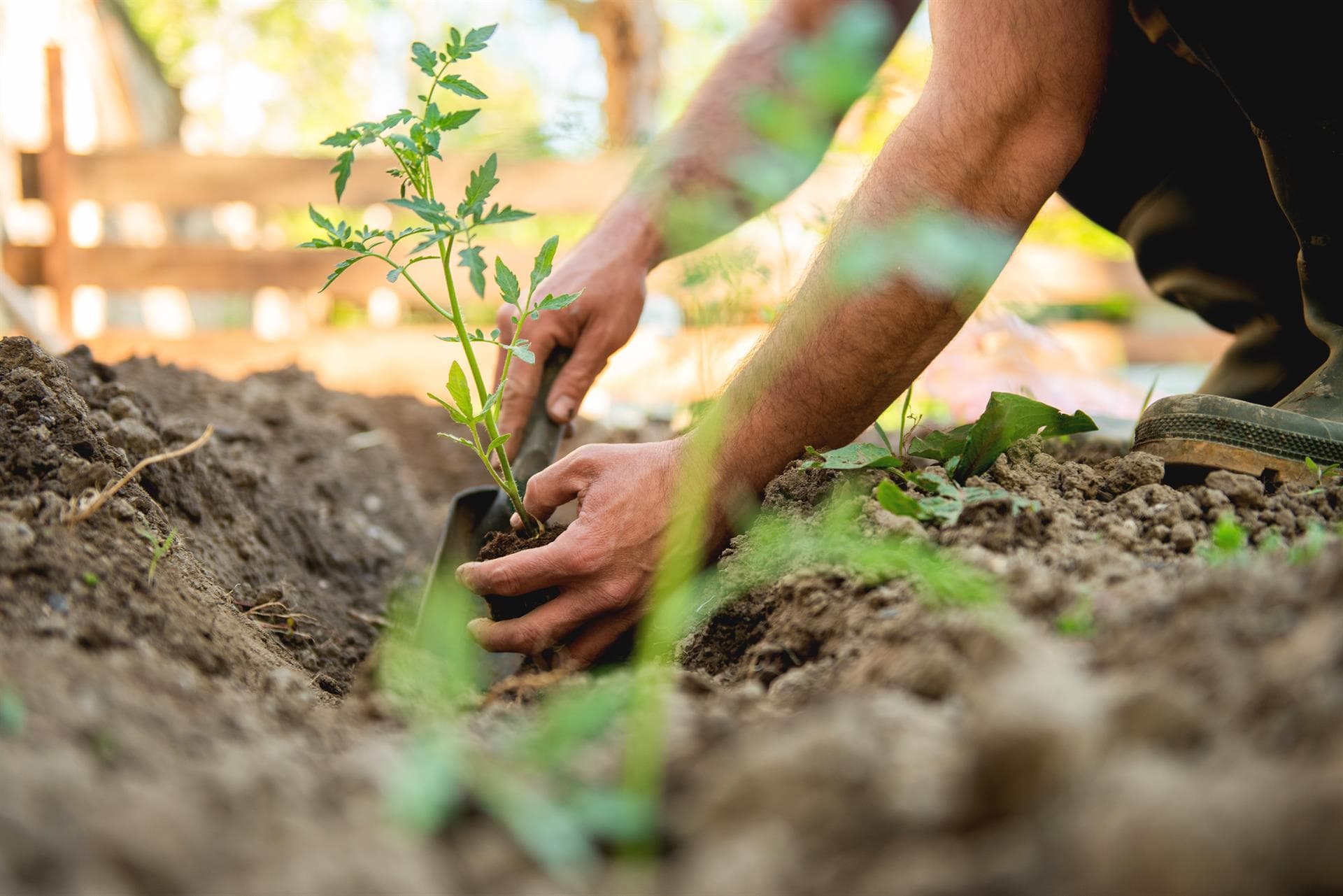 Todo lo que necesitas en servicios de jardinería