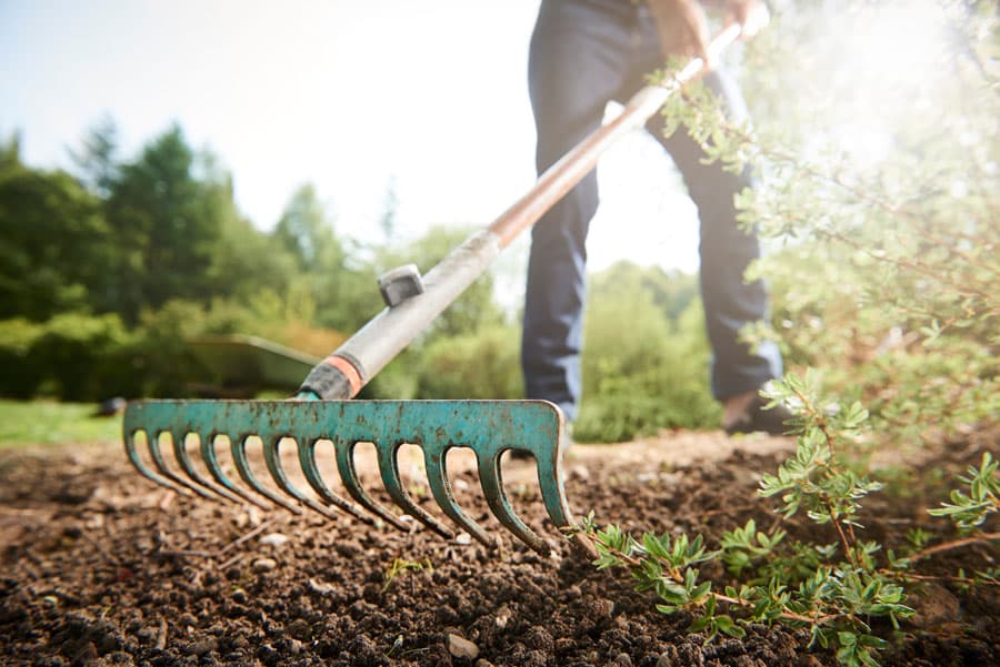 Mantenimiento de jardines