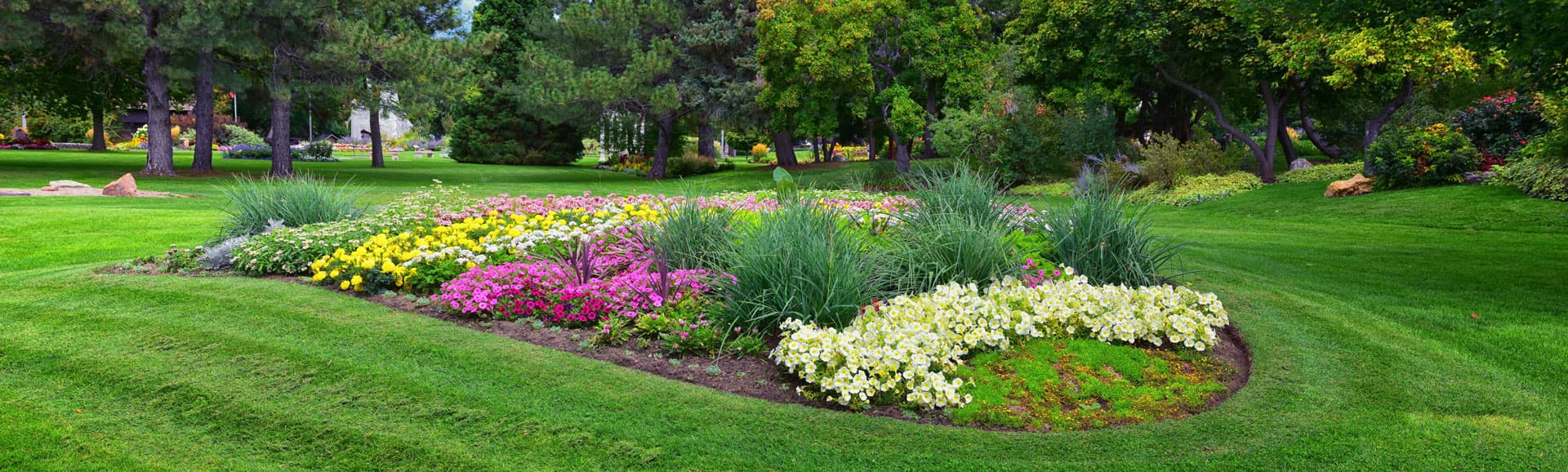 Pide asesoramiento sin compromiso a nuestros jardineros en Ourense