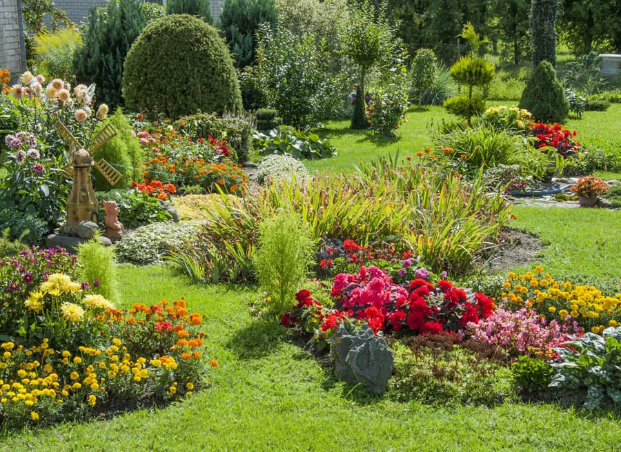 Preparados para ofrecerte todo lo que necesites en jardinería