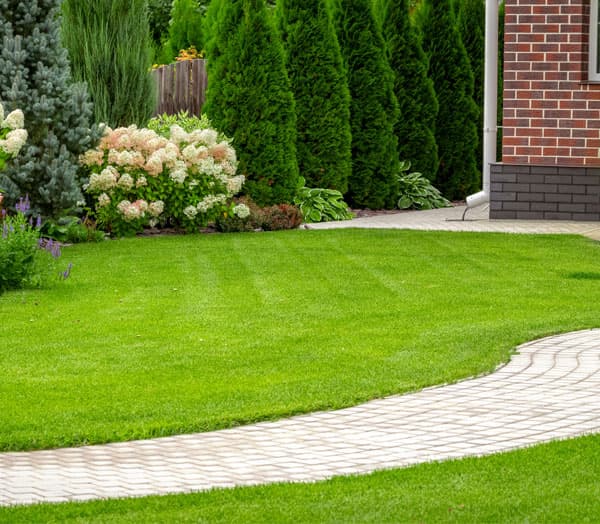 Tu empresa de jardinería en Ourense